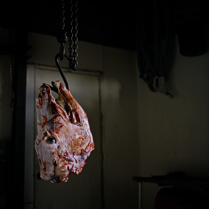 实拍美国屠宰场真实场景血流成河或引不适请慎看/组图