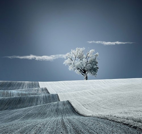 极致唯美的摄影作品 震撼你的心灵(组图)