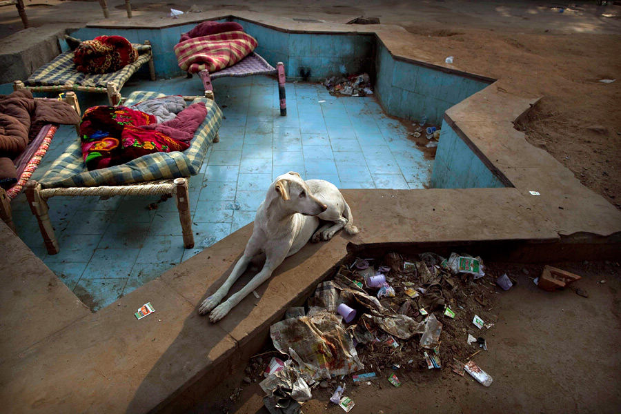 实拍印度贫民真实流浪生活 饥饿及恶劣的卫生条件/组图