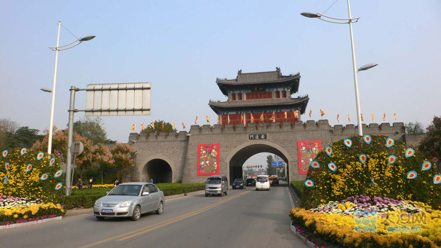 组图开封街头菊花迎寒怒放