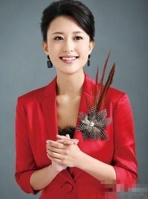 组图张蕾嫁五旬铁矿大亨揭张蕾主持经历